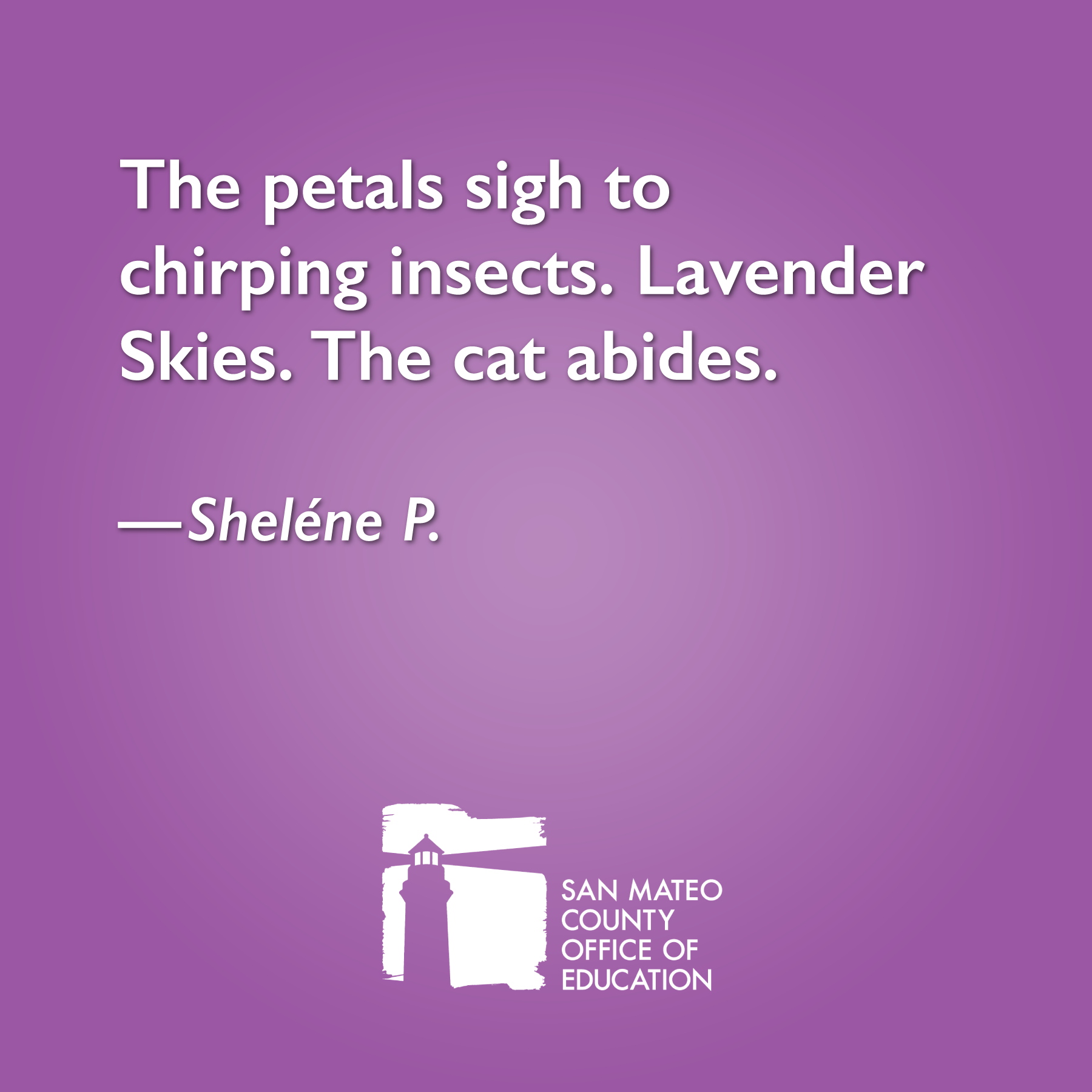 The petals sigh to chirping insects. Lavender Skies. The cat abides. Written by Sheléne P.